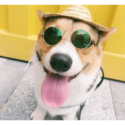 Circular MetalCute Pet Sunglasses For Pet Accessories